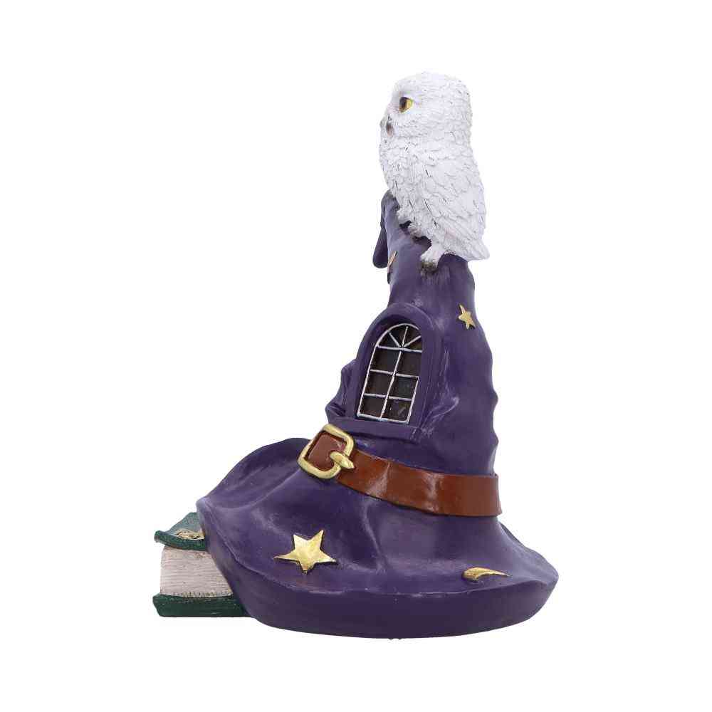 Nemesis Now - The Witching Perch Figurine - Multicolore